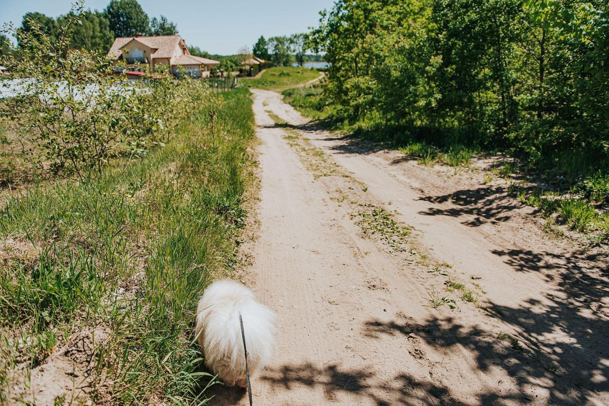 Вілла Rajski Domek Nad Jeziorem Radacz Борне-Суліново Екстер'єр фото